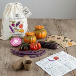 Kit de jardinage “Les légumes extraordinaires” – Graines, pots et guide