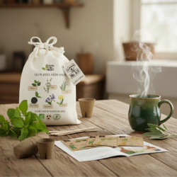 Kit de jardinage “Les Plantes Médicinales” – Graines, pots et guide