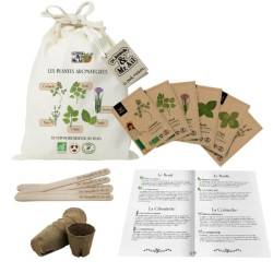 Kit de graines d'herbes aromatique à planter à la maison