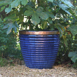 Ruban adhésif en cuivre anti-limaces - 4 m x 30 mm