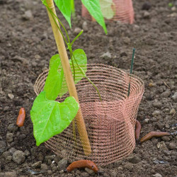 Filet anti limaces en cuivre doublés et tressés - 4 m x 12,7 cm