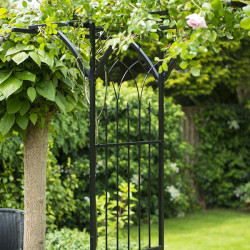 Plante grimpante sur pergola en acier galvanisé 