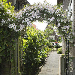 Idée d’aménagement de jardin avec arche décorative en acier noir