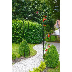 Pergola arche acier plastifié vert - Support plantes grimpantes