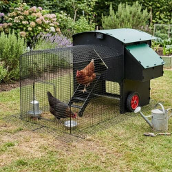 Enclos 2 m pour poulailler 5 à 15 poules surélevé