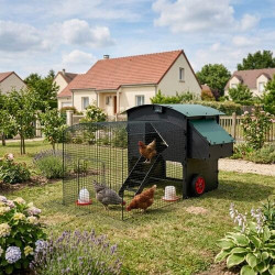enclos pour les poules