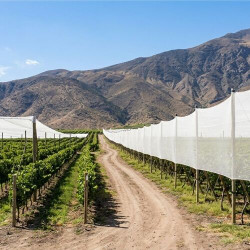 Filet Brise-vent - ombrage Blanc- 106gr/m²