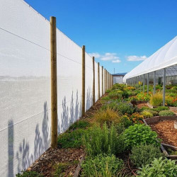 brise vent dans une serre maraichère 