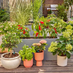 Kit d’irrigation goutte-à-goutte terrasse Gardena 30 plantes