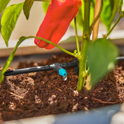 Vue de prés de l'arrosage automatique de plantes en jardinière avec kit Gardena