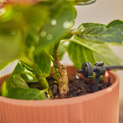 Arrosage-automatique-Gardena-15-plantes-goutteur-vue-rapprochée