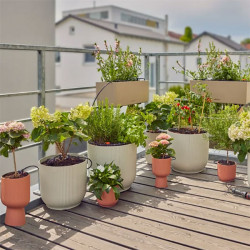 Kit d'irrigation goutte-à-goutte Gardena Balcon jusqu'à 15 plantes