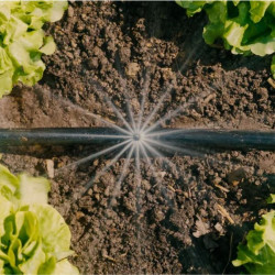 asperseur d'arrosage du kit gardena