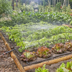 Potager avec le kit d'irrigation pret à l'emploi Gardena