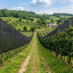 Filet Brise-vent - ombrage noir- 165 gr/m²