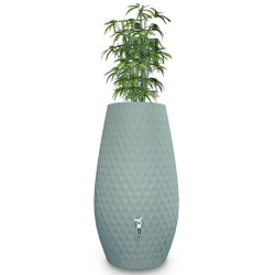 Réservoir d'eau de pluie 2en1 Triagon 230 L argave avec plante