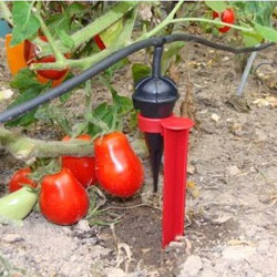 Kit irrigation 