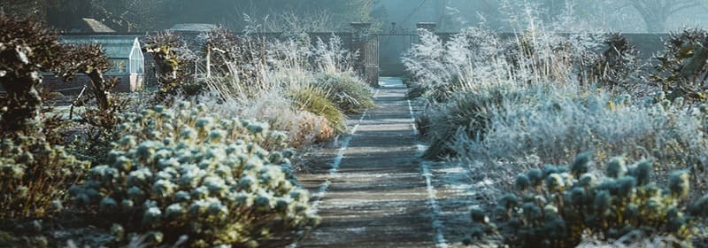 Jardin entretenu l'hiver