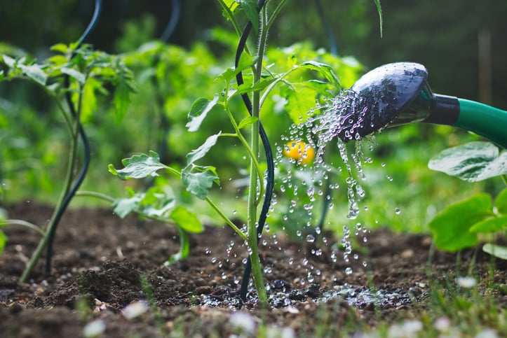Tuyau d'arrosage de jardin réglable, système d'arrosage par aspersion  d'irrigation de cour de jardin 