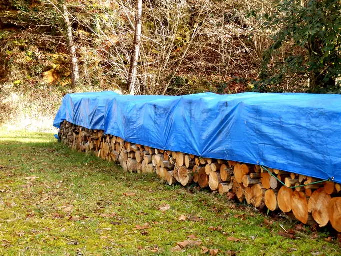 pile de bûches empilées soigneusement en plein air, partiellement recouvertes d'une bâche imperméable bleue pour les protéger des intempéries. La scène se déroule dans une zone boisée, avec un sol couvert de feuilles mortes et d'herbe.