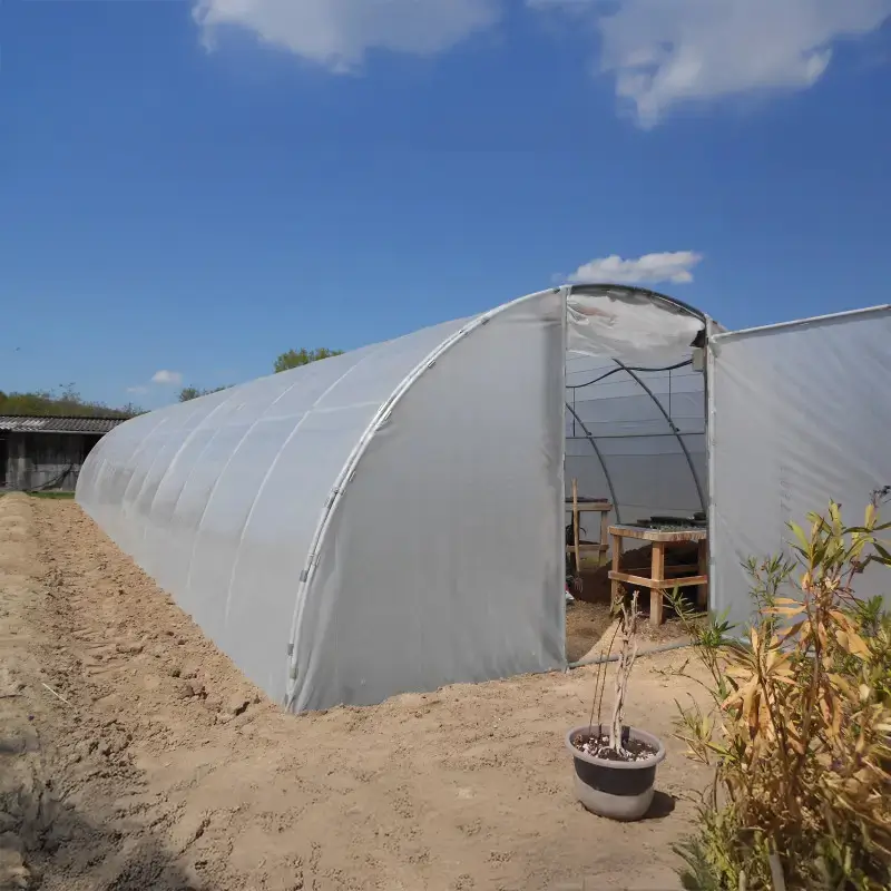 Une grande serre tunnel recouverte d'un film plastique thermique, installée sur un sol de terre battue avec quelques plantes à proximité, sous un ciel bleu clair.