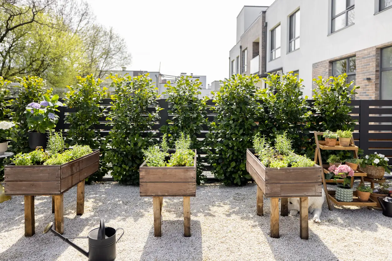 Jardin urbain avec des jardinières en bois surélevées plantées d'herbes aromatiques, entouré de plantes en pot.