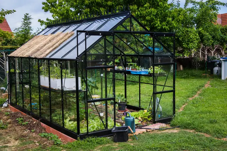 Serre botanique en verre dans une pelouse