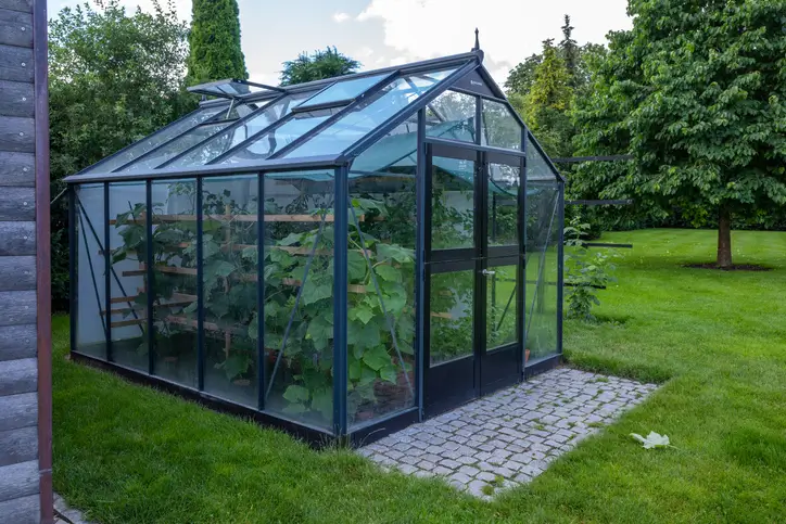 Serre en verre type botanique avec des pavés