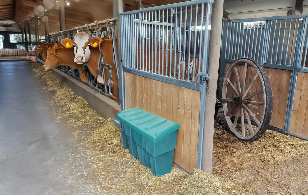 coffre à grain mis en situation dans une stabule de ferme