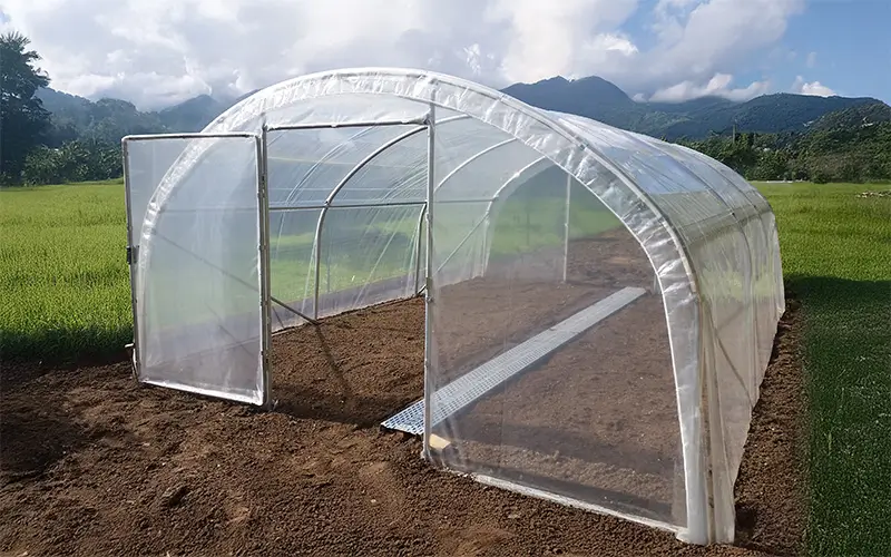 Bâche De Serre Agricole 800 Gauges – Protection Gel, Grêle Et Pluie Pour Potager (3x6 M)