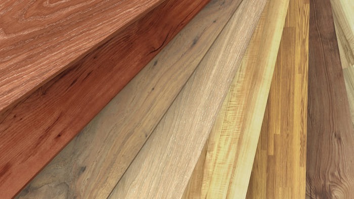 Différentes essences de bois utilisées pour abris de jardin : pin, épicéa, douglas, mélèze, chêne et bois exotique