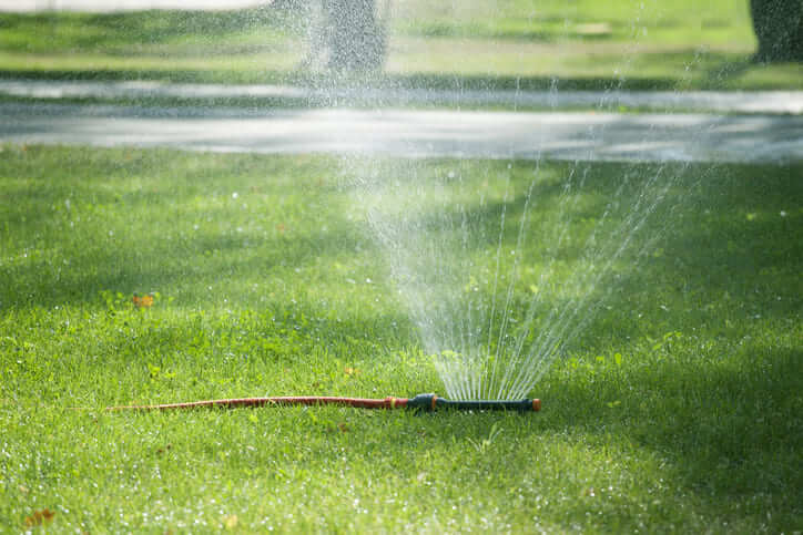 Arroseur oscillant en fonctionnement sur une pelouse verte en plein été
