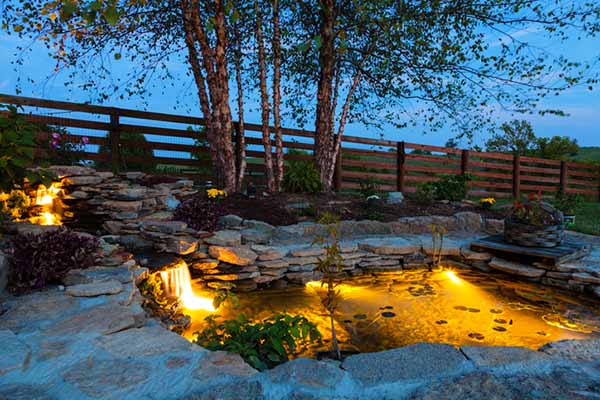 basssin de jardin dans un espace vert