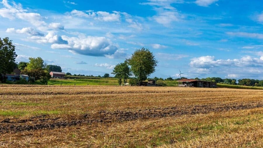 Photo d'un champs d'une exploitation agricole