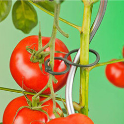 Les cordes et liens sont indispensables au jardin au fur et à mesure de la croissance des arbres, plants potagers, plantes vertes, tomates ...