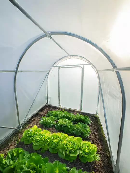 avantages-serre-tunnel