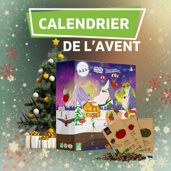 Calendrier de l'avent spécial potager