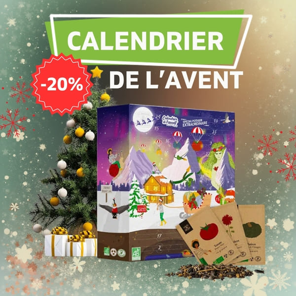 Calendrier de l'avent spécial potager