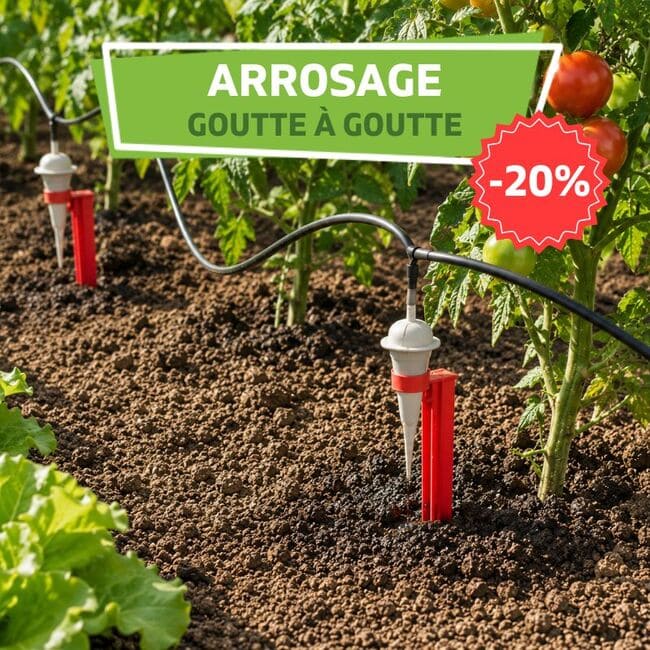 Promotion sur l'arroge goutte à goutte