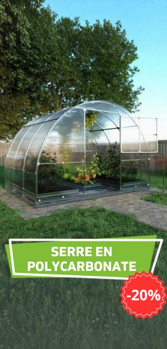 Soldes sur les serres en polycarbonate