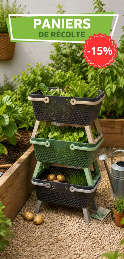 Promotion sur les paniers de récolte kajo